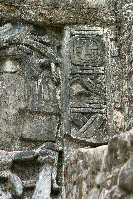 Caracol b广场玛雅金字塔B5粉刷庙宇象形文字伯利兹中美洲